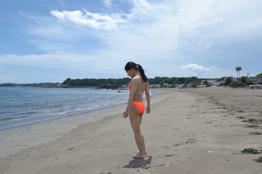 三浦海岸で夏を楽しもう